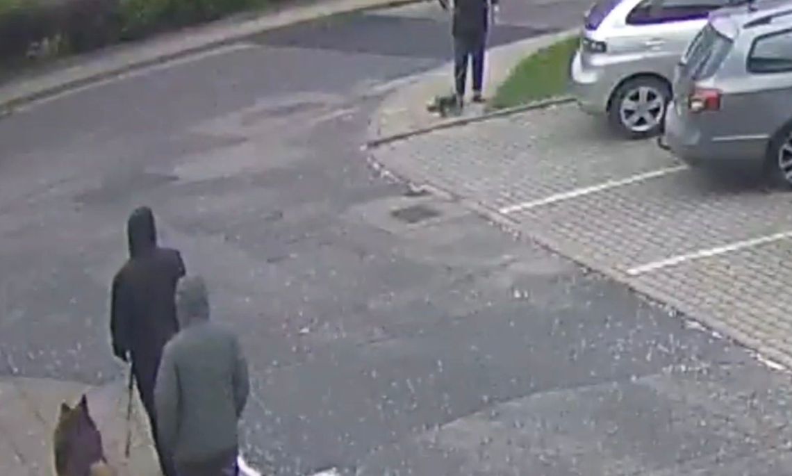 Zagryzł yorka. Sprawę wyjaśnia policja