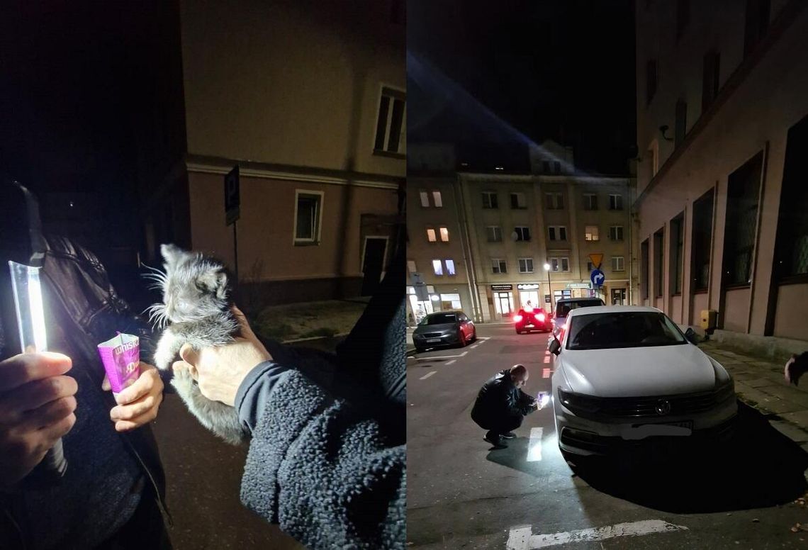 Zajrzyj pod maskę, zanim odpalisz auto Zajrzyj pod maskę, zanim odpalisz auto