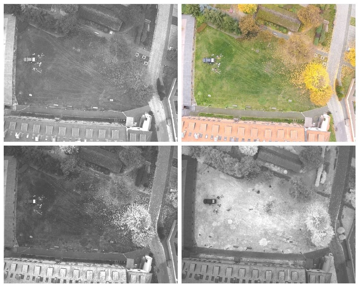 Zakończono badania elbląskiego zamku krzyżackiego Zakończono badania elbląskiego zamku krzyżackiego