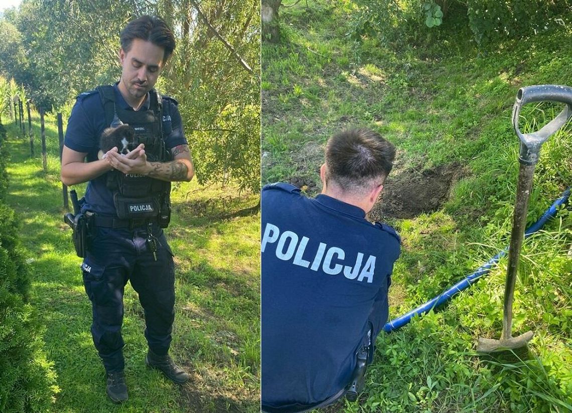 Zakopała żywcem dwumiesięcznego kota. Interweniowała córka