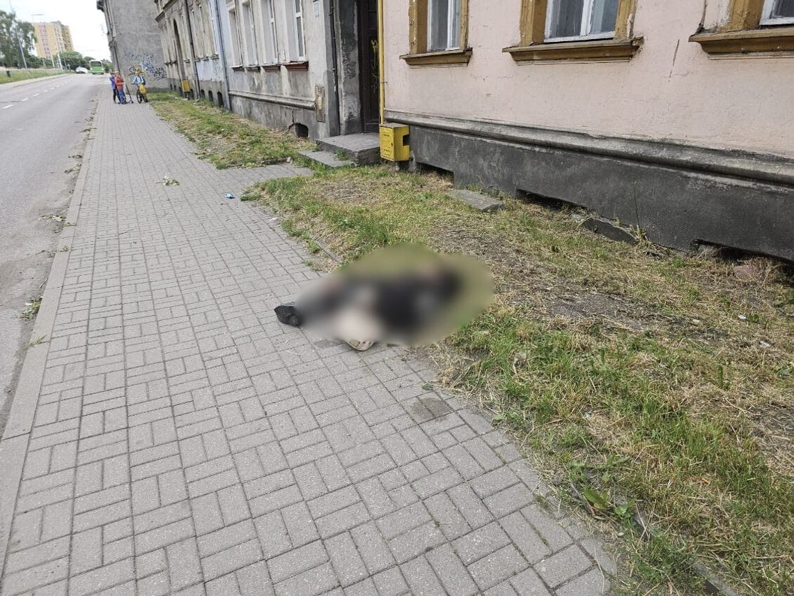 Zareagował, gdy inni przechodzili i przejeżdżali obojętnie