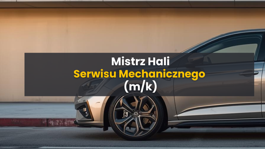Mistrz Hali Serwisu Mechanicznego (m/k)