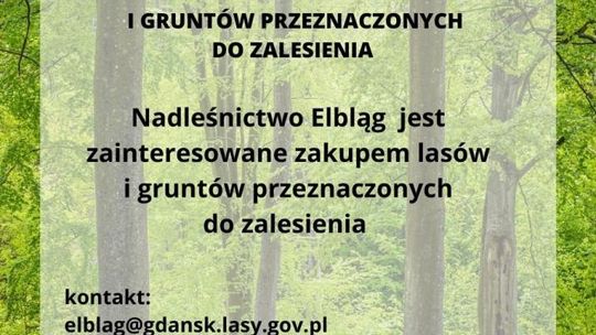 Zakup lasów i gruntów pod zalesienia