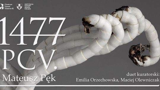 1477 PCV. | Mateusz Pęk 1477 PCV. | Mateusz Pęk