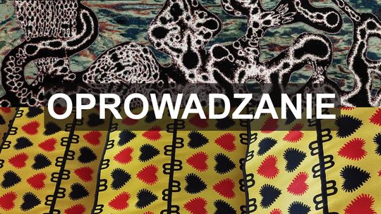 Oprowadzanie kuratorskie | wycieczka do Elbląga Oprowadzanie kuratorskie | wycieczka do Elbląga