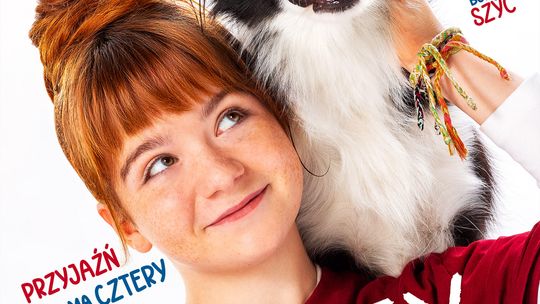 "Psoty" w Kinie Światowid "Psoty" w Kinie Światowid