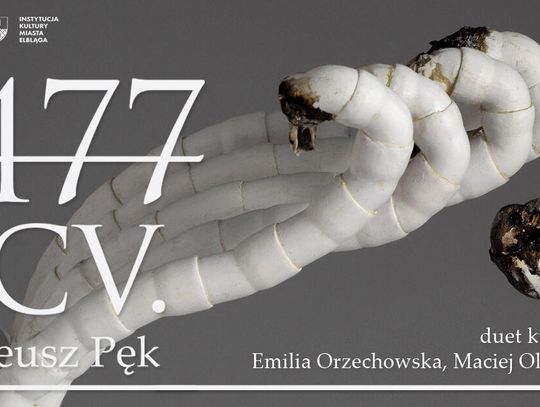 1477 PCV. | Mateusz Pęk