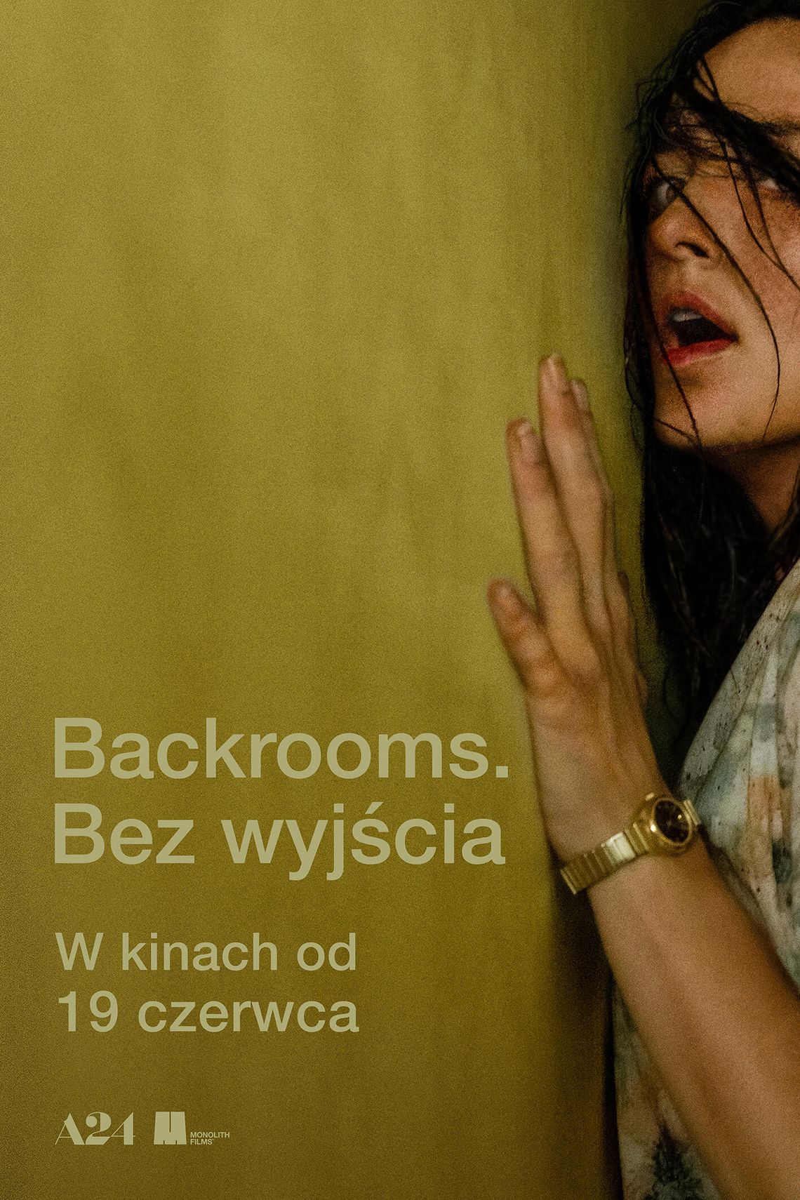 "Backrooms. Bez wyjścia" w Kinie Światowid