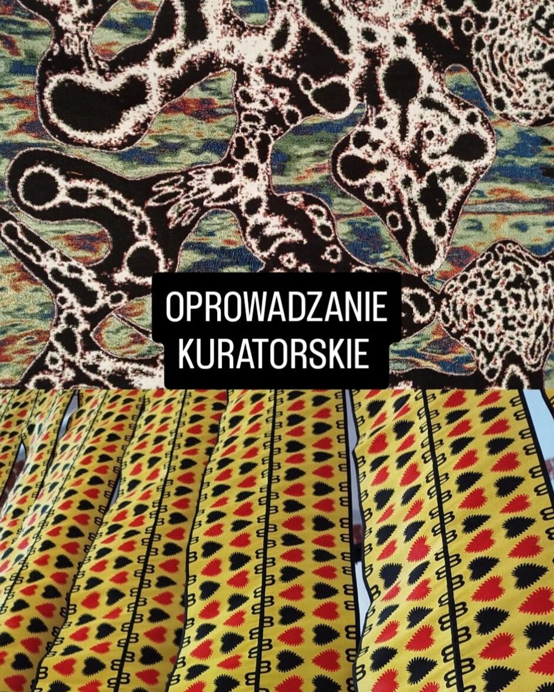Oprowadzanie kuratorskie | BONA FIDE | KULTURA SPALONEGO HORYZONTU