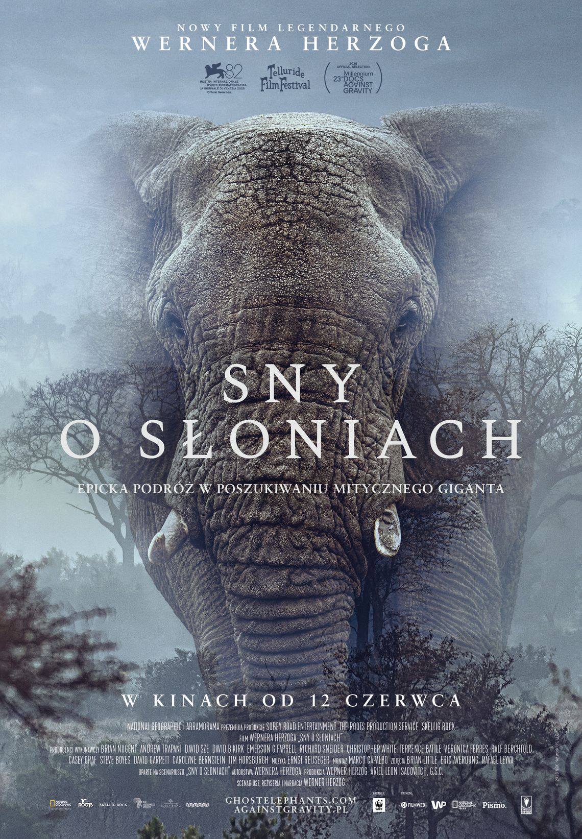 "Sny o słoniach" w Kinie Światowid "Sny o słoniach" w Kinie Światowid