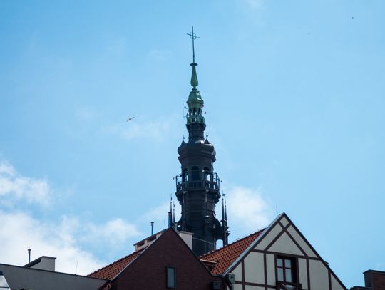 Festiwal Sportów Wodnych